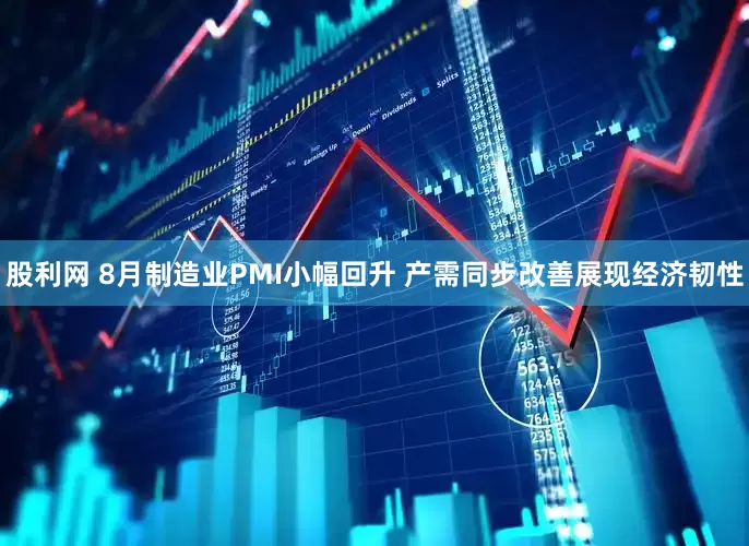 股利网 8月制造业PMI小幅回升 产需同步改善展现经济韧性
