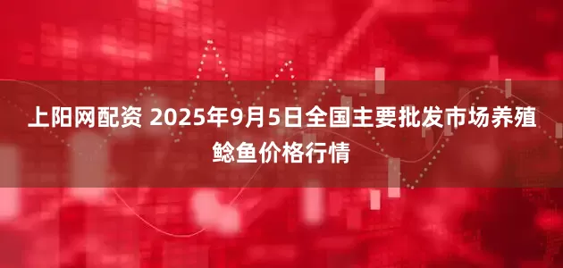 上阳网配资 2025年9月5日全国主要批发市场养殖鲶鱼价格行情