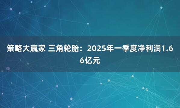 策略大赢家 三角轮胎：2025年一季度净利润1.66亿元